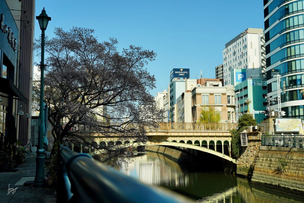 納屋橋と四季桜